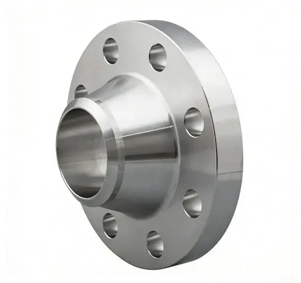 stainless steel Weld Neck Flange